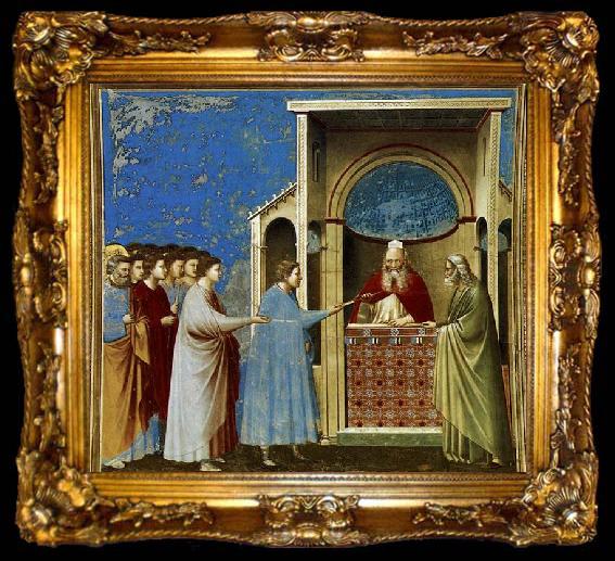 framed  GIOTTO di Bondone The Bringing of the Rods to the Temple, ta009-2